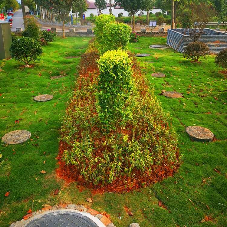 四川貢縣某環境公司定制景區污水處理設備