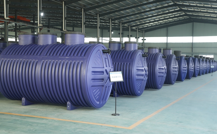 1769395911167902.jpg 037.jpg